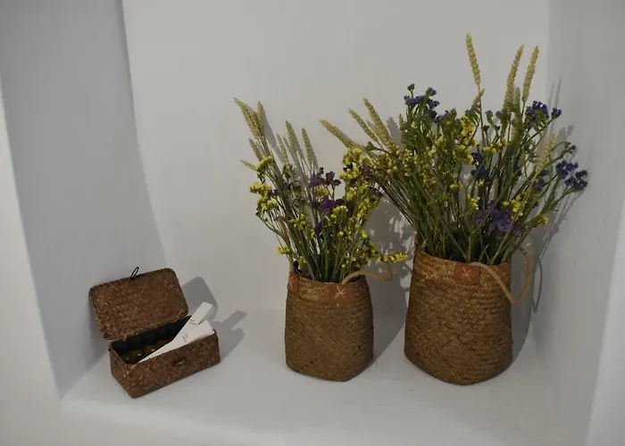 Naxian Castillo Apartamento Naxos City