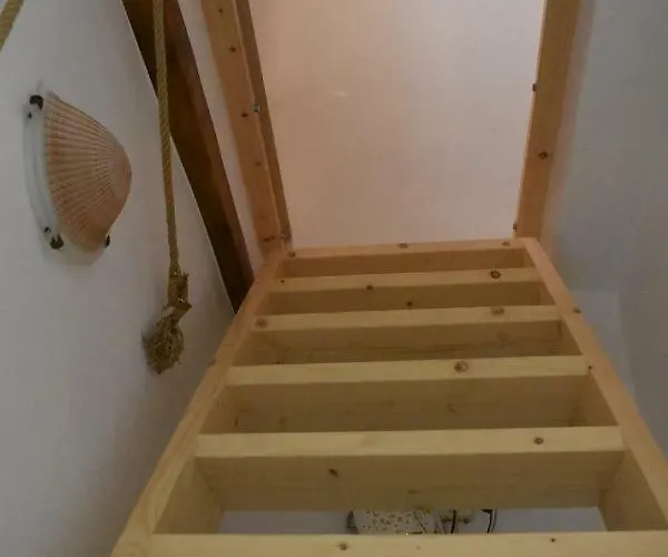 Naxian Castillo Apartamento *